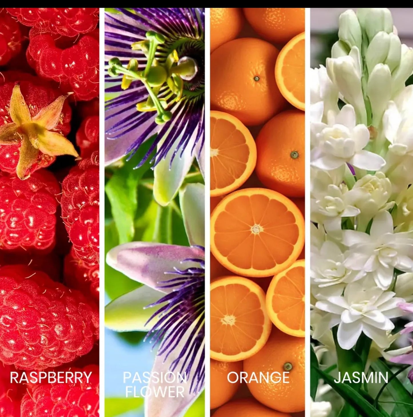 SAPIL BOUND EAU DE PARFUM LUXURY SCENT FOR WOMEN 100ML