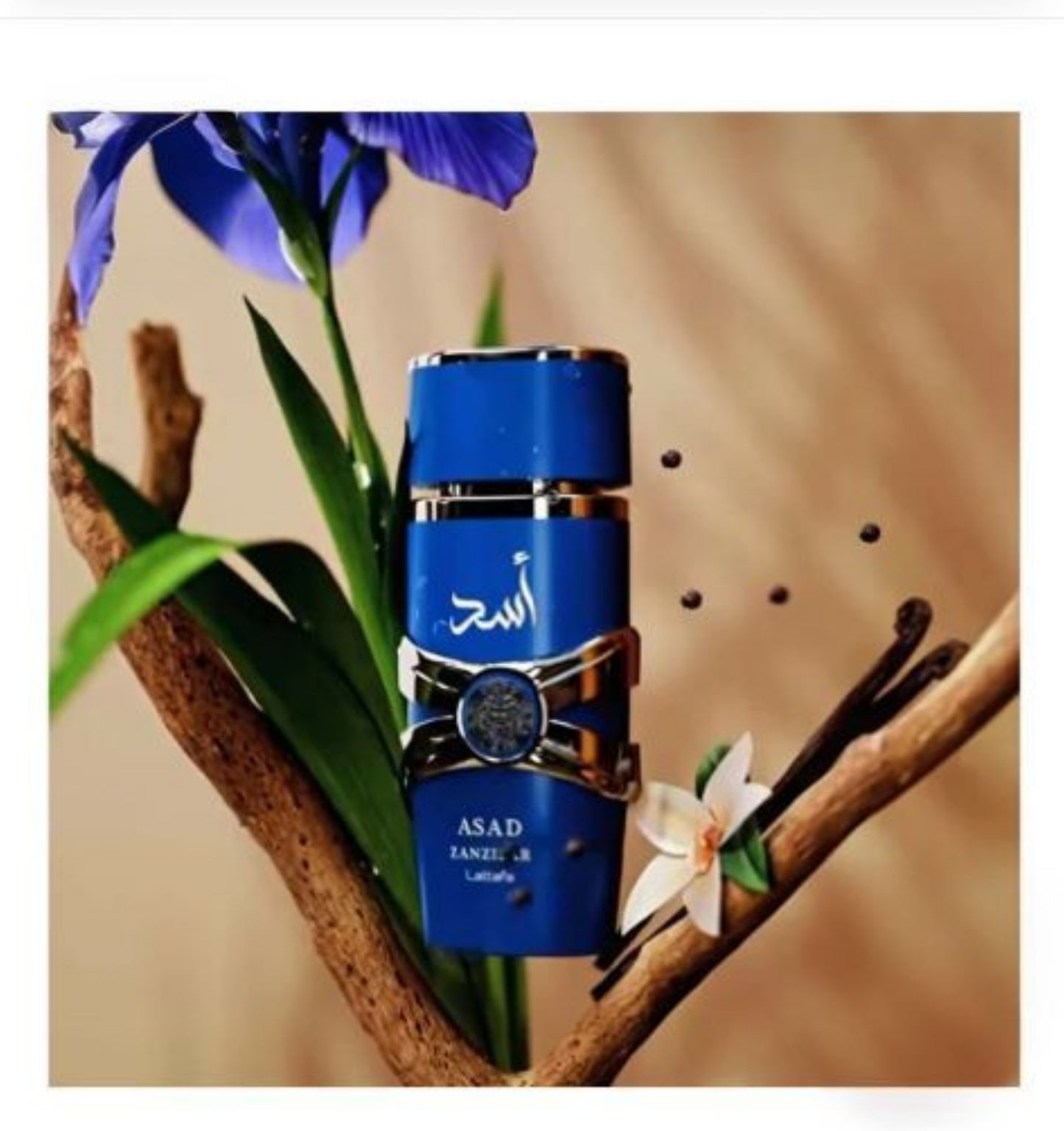 ASAD ZANZIBAR  MEN EDP 100ML ( 3.4OZ) BY LATTAFA