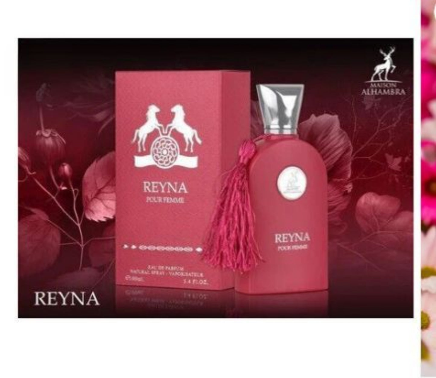 REYNA POUR  FEMME WOMEN EDP 100ML ( 3.4OZ) BY ALHAMBRA