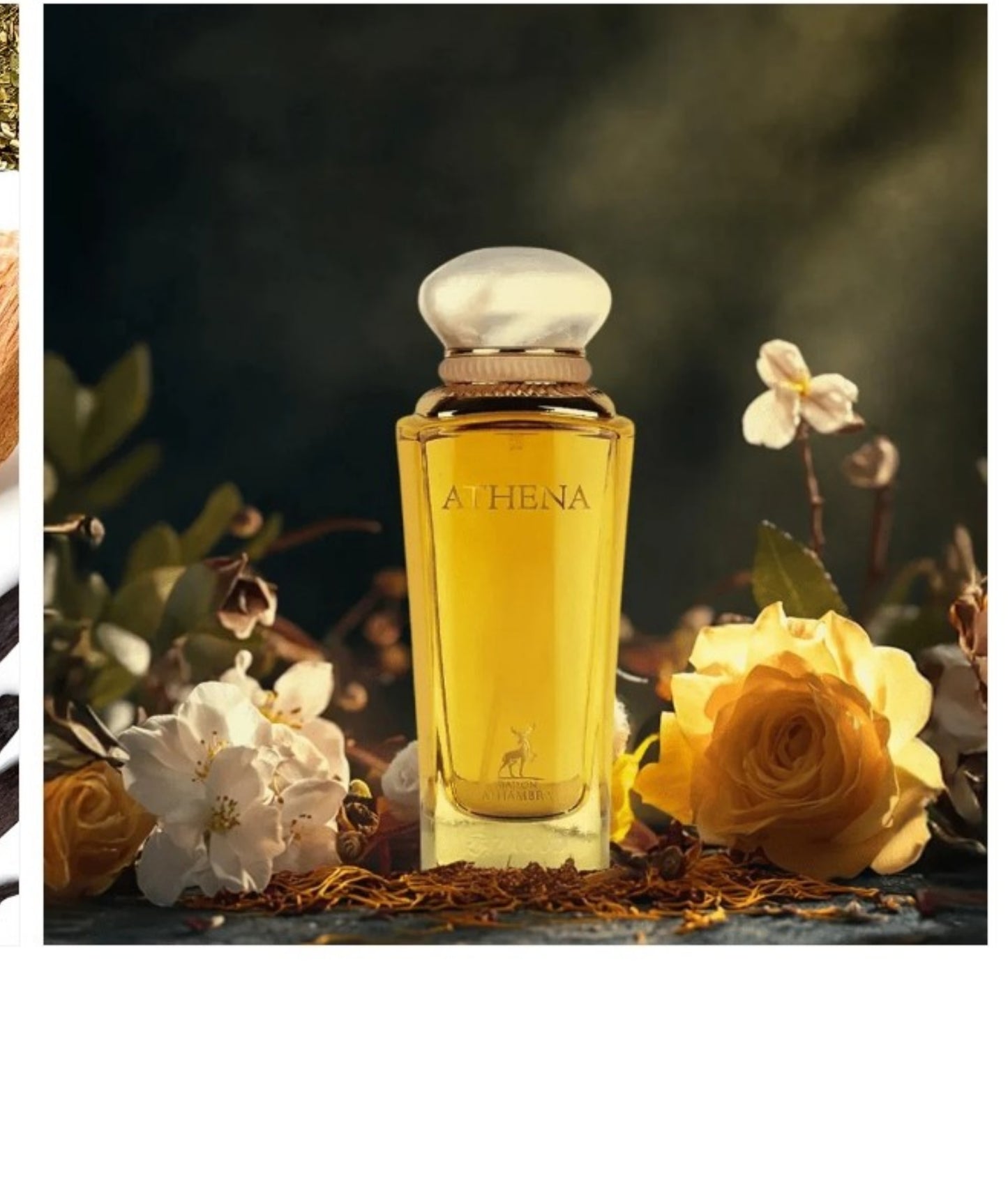 ATHENA WOMEN EDP  - 100ML ( 3.4oz ) By MAISON ALHAMBRA